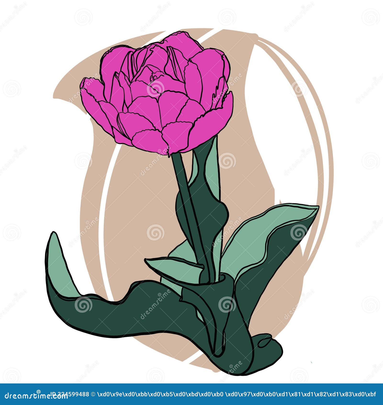 nature flowers leaf plant  decoration art blossom spring  summer pink pattern drawing